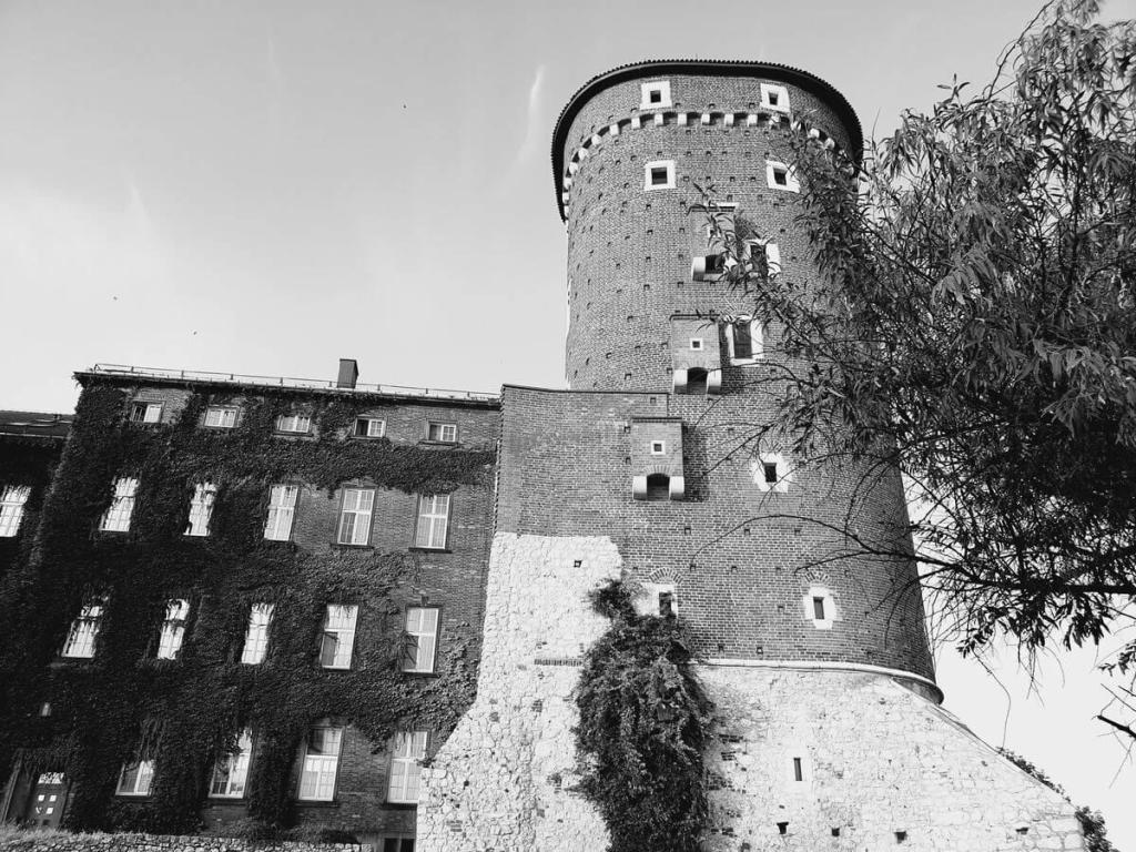 21_Krakau_04_10_2024_122