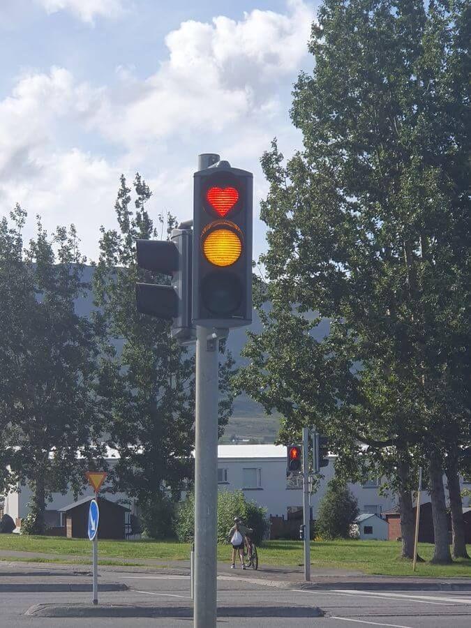 10_Whalewatching_11_08_2025_120