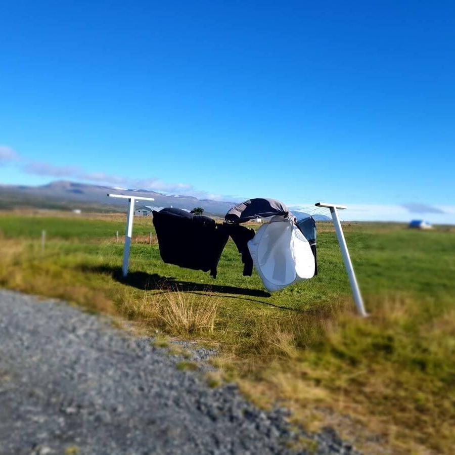 10_Whalewatching_11_08_2025_20