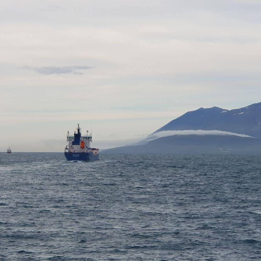 10_Whalewatching_11_08_2025_201