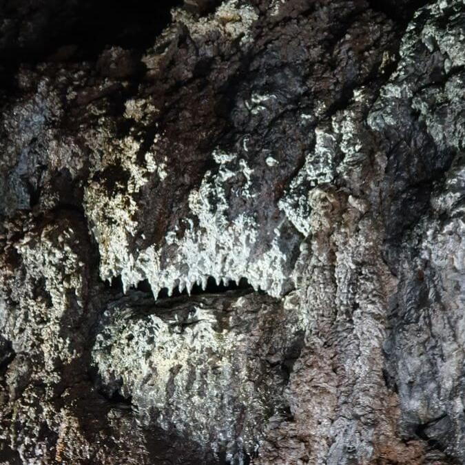 13_Rundfahrt_Snaefellsnes_14_08_2025_83