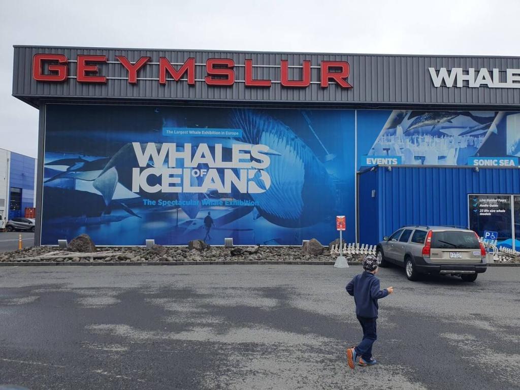 2_Reykjavik_Sightseeing_03_08_2025_121