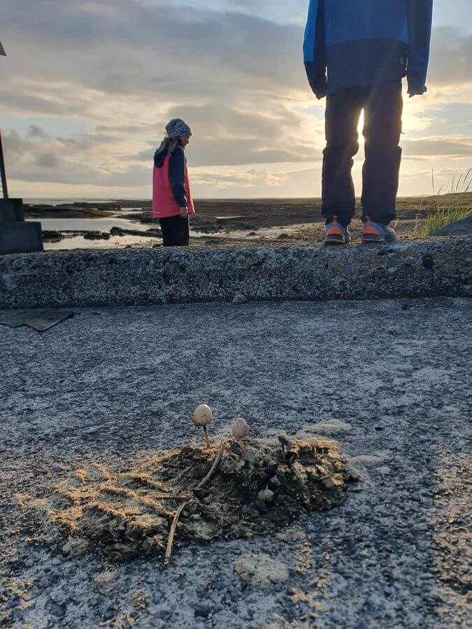 3_Golden_Circle_04_08_2025_255