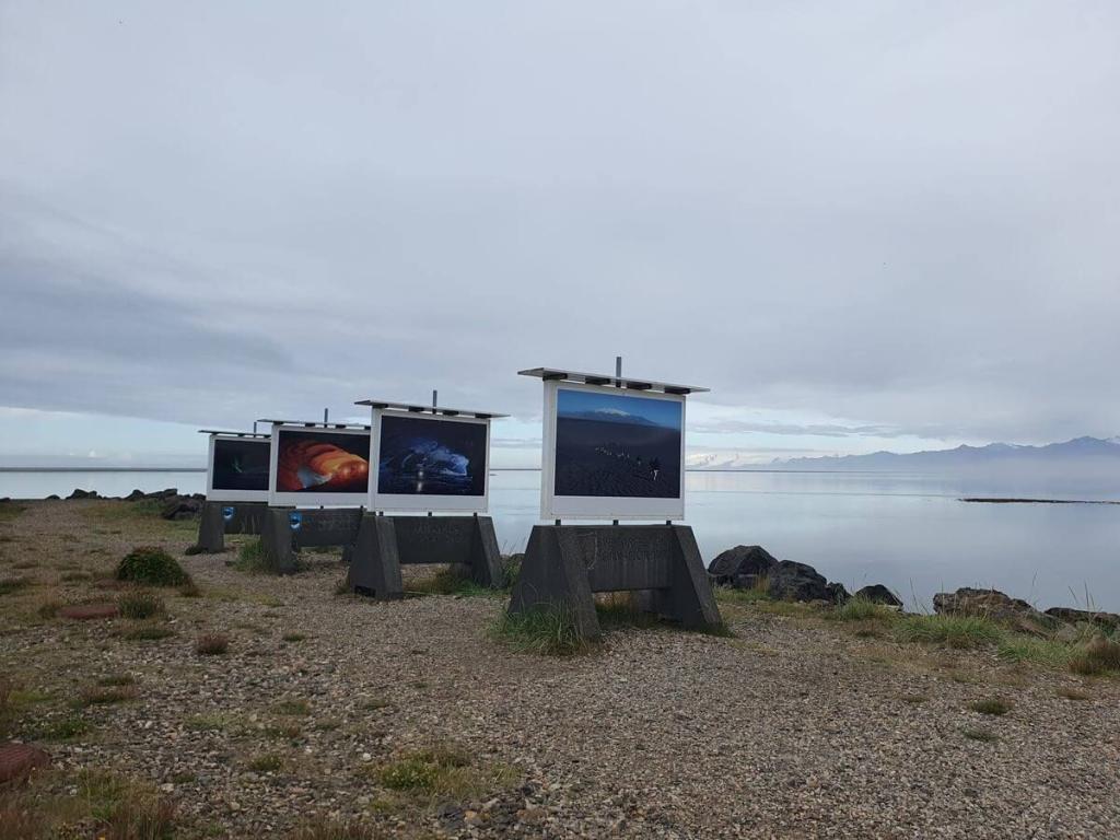 7_Fahrt_bis_Djupivogur_08_08_2025_02