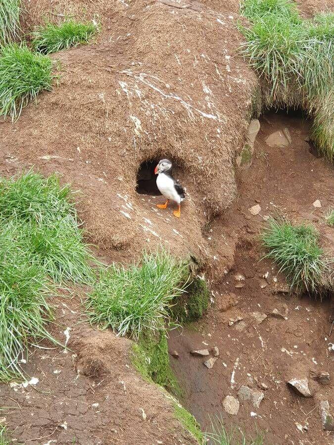 9_Fahrt_bis_Egilsstadir_10_08_2025_88