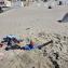 11_Texel_Strand_25_08_2026_44