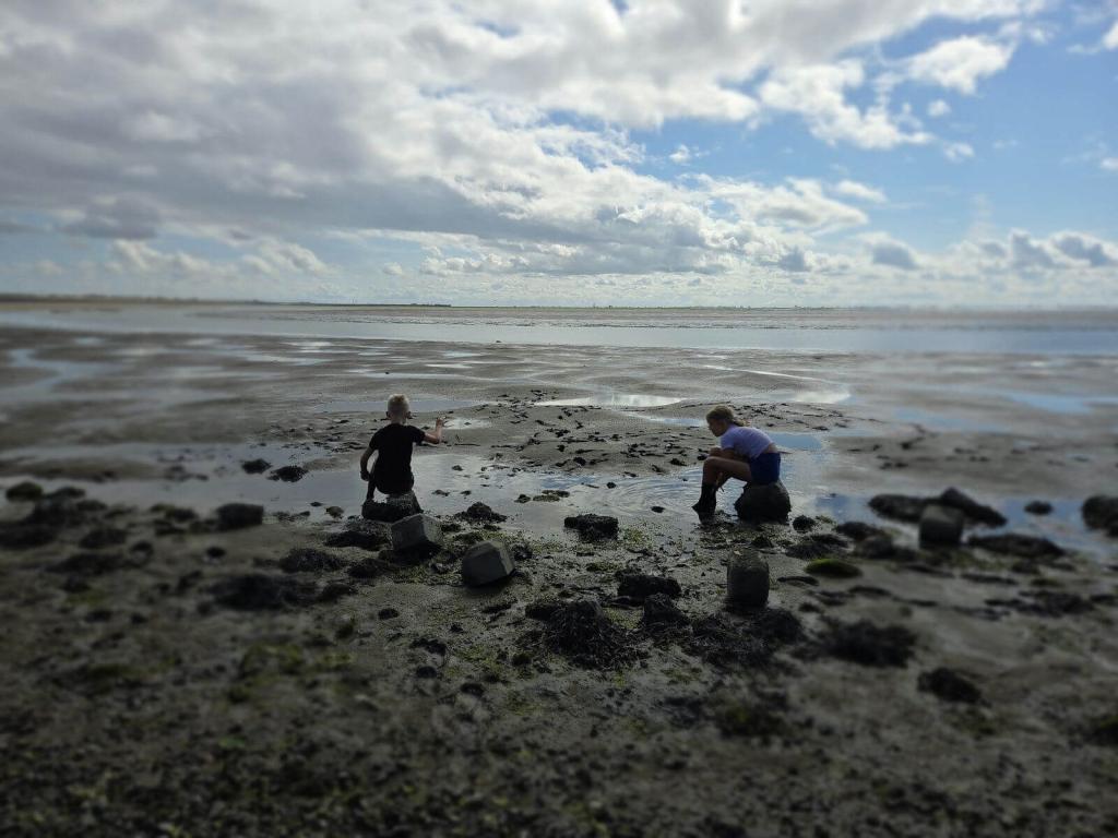 7_Ameland_21_08_2026_33