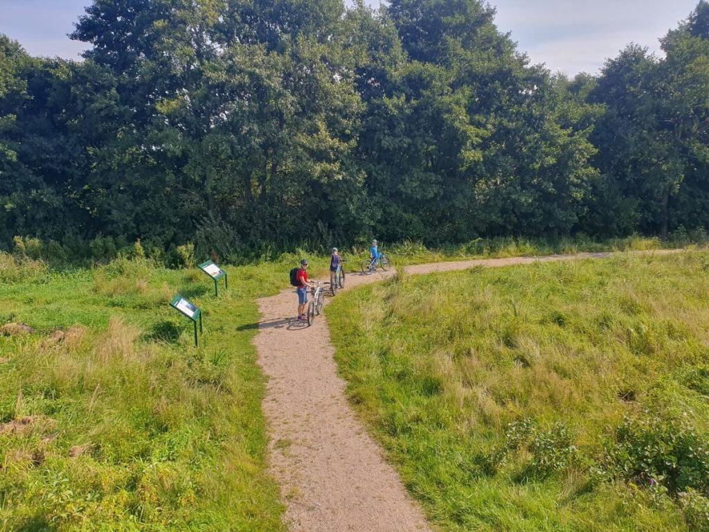 12_See_Dünen_Leba_26_08_2024_18