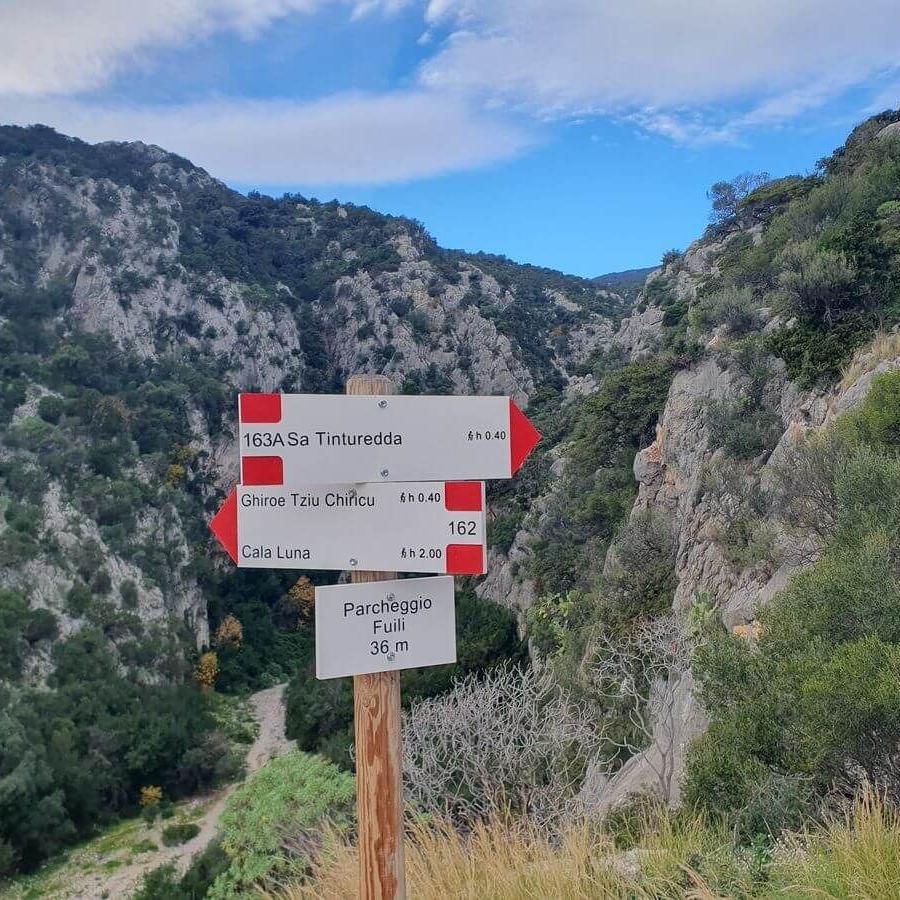 10Wanderung_Cala_Fuili_03_01_2025_04