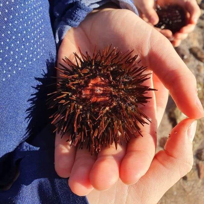 6Klippenwanderung_30_12_2024_54