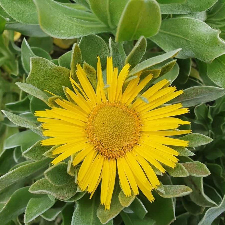 Fuerteventura 07bis17_02_2026_188