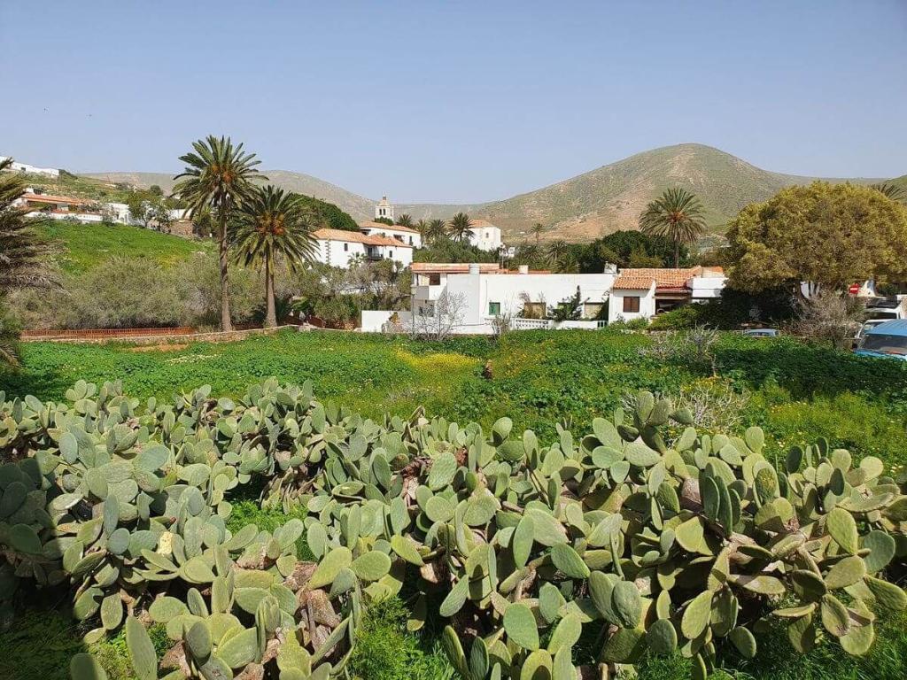 Fuerteventura 07bis17_02_2026_266