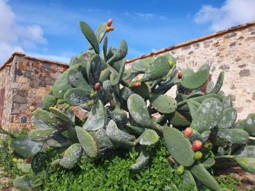 Fuerteventura 07bis17_02_2026_37