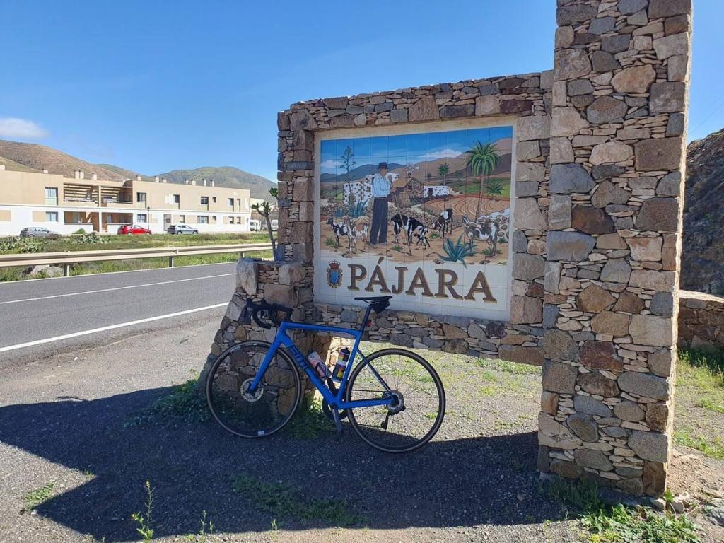 Fuerteventura 07bis17_02_2026_75