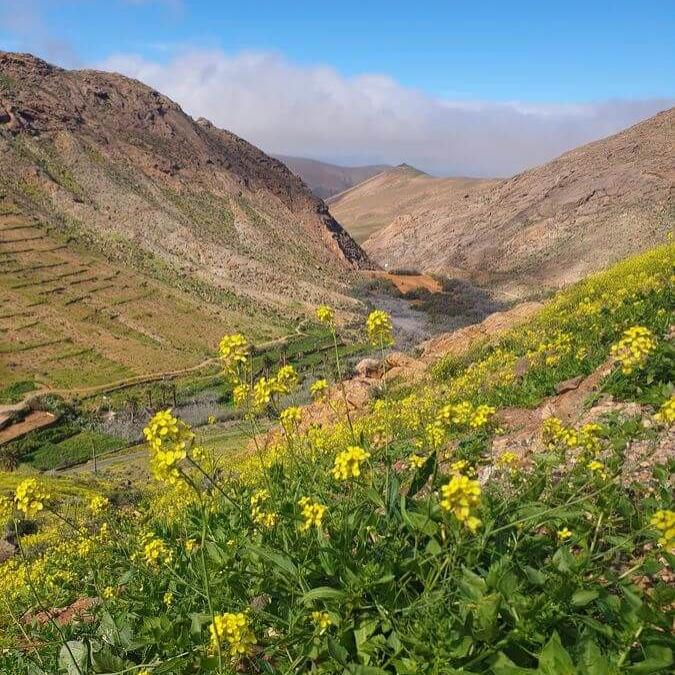 Fuerteventura 07bis17_02_2026_89