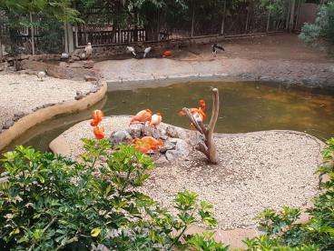 2_Rad_Palmitos_Park_13_04_2025_49