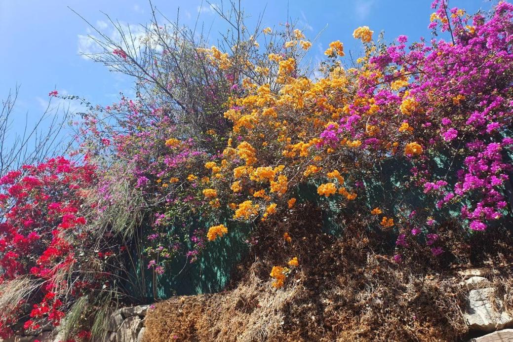 6_Aquapark_Maspalomas_17_04_2025_36