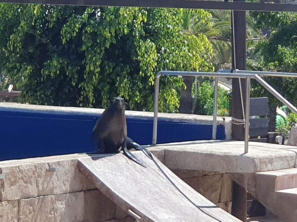 6_Aquapark_Maspalomas_17_04_2025_54