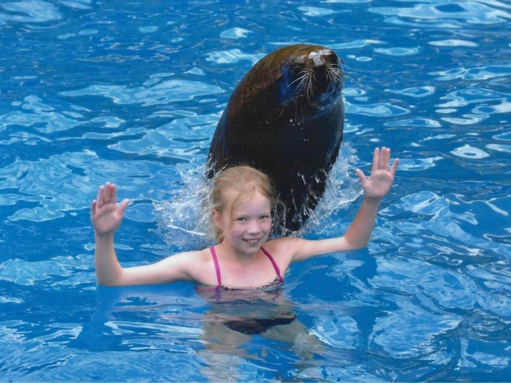 Emma_Seelöwe_Gran_Canaria_19_04_2025_1